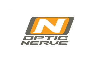 optic nerve shvoong 4